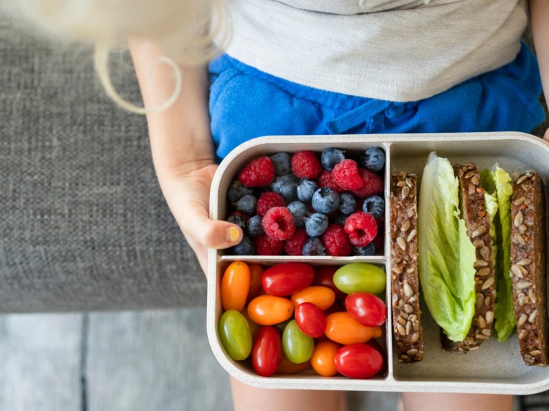 Ein blondes Mädchen wird von oben gezeigt und hält eine volle Brotdose mit Tomaten, Beeren und Brot in der Hand.