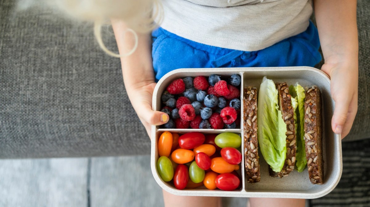 Ein blondes Mädchen wird von oben gezeigt und hält eine volle Brotdose mit Tomaten, Beeren und Brot in der Hand.