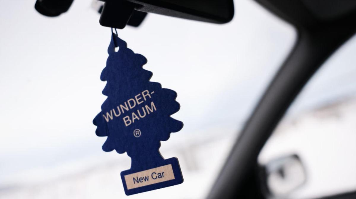 Blauer Wunderbaum im Auto.