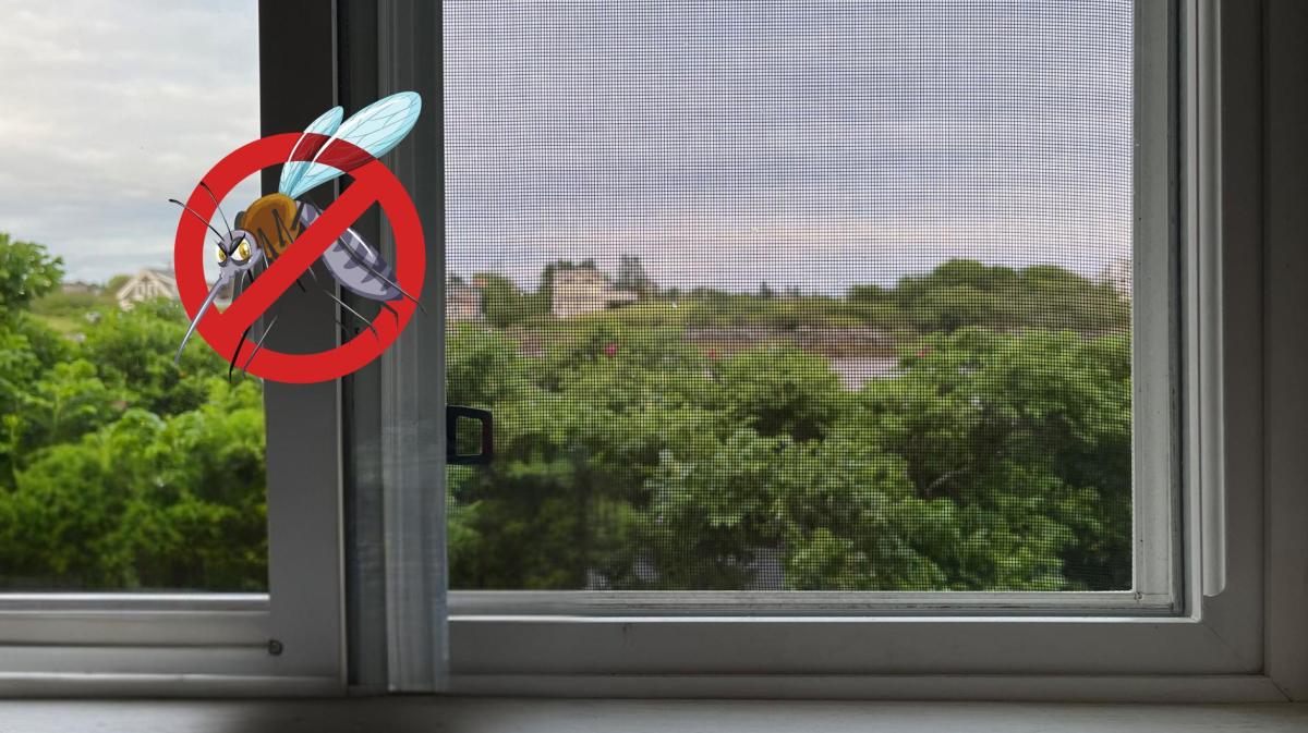 Fliegengitter an einem Fenster.