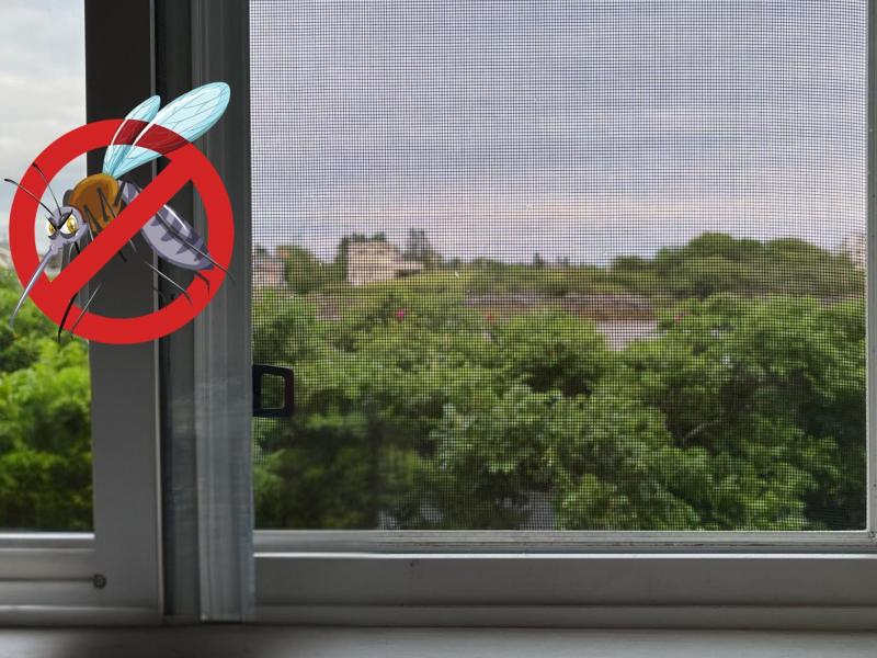 Fliegengitter an einem Fenster.