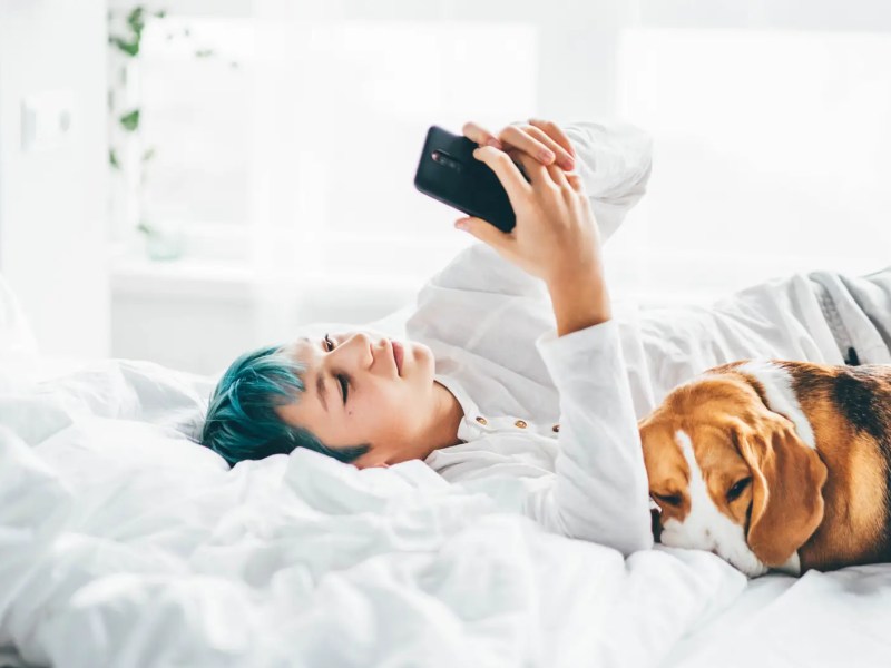 Teenager mit blauen Haaren liegt auf dem Bett und liest am Handy. Neben ihm liegt ein Hund.