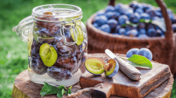 Zutaten für Pflaumenkonserven aus dem Garten