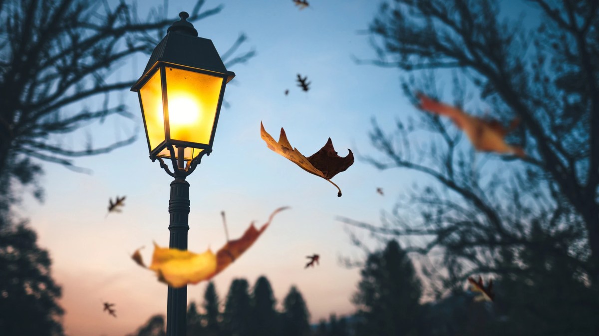 Herbstnacht mit leuchtender Laterne und im Wind wehenden Blättern