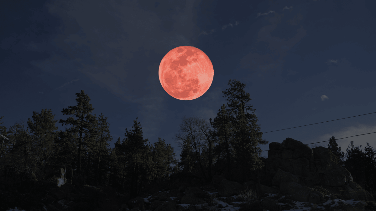 Roter Blutmond an Nachthimmel über Wald.