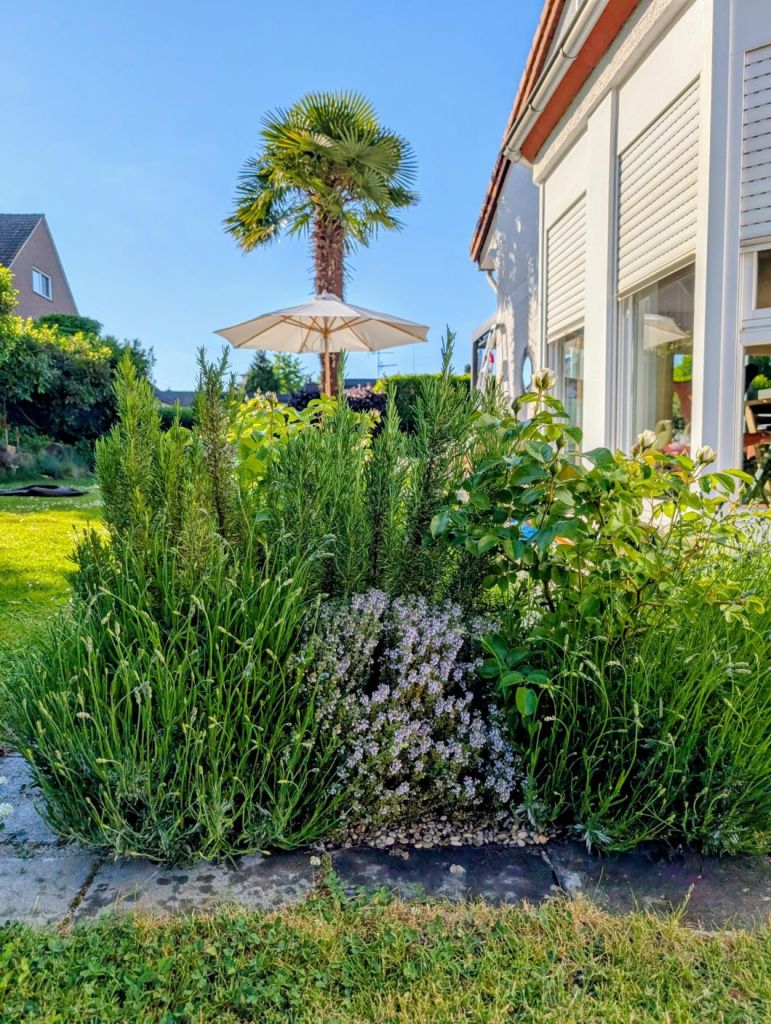 Staudenbeet ohne Unkraut