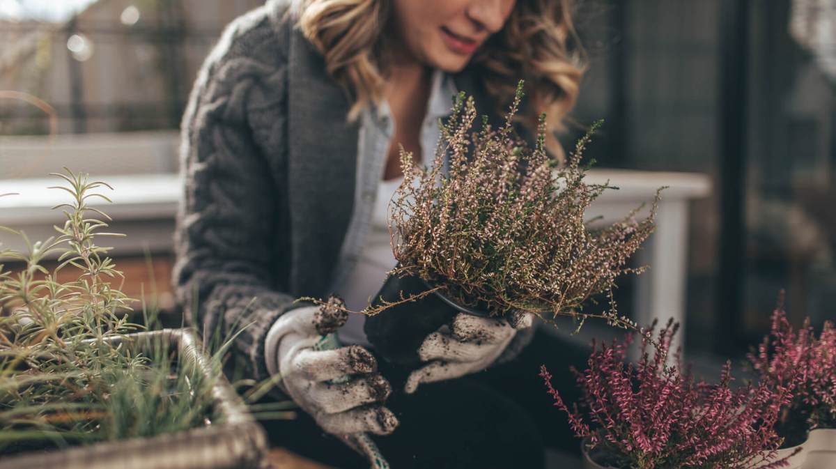 Frau topft Pflanzen auf Balkon um