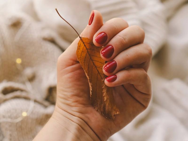 Hand einer Frau mit herbstlichem Nagelack und einem bunten Blatt in der Hand