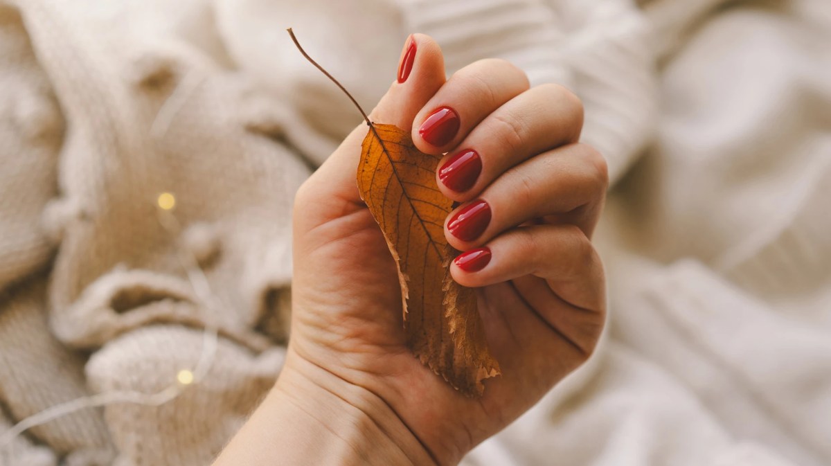 Hand einer Frau mit herbstlichem Nagelack und einem bunten Blatt in der Hand