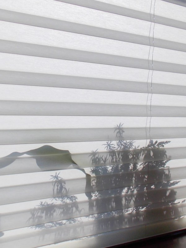 Plissees reinigen ohne Abbauen? Mit dem Socken-Trick klappt’s ganz einfach