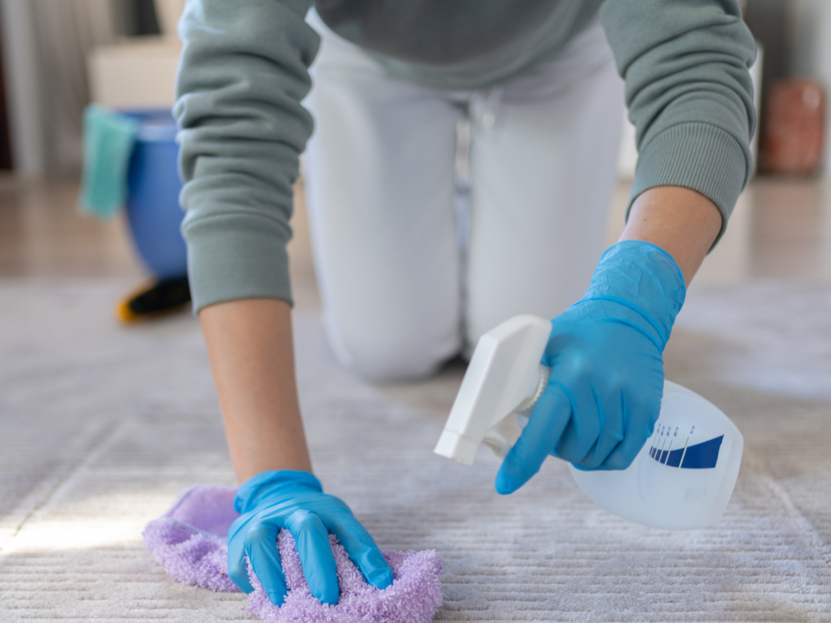 Frau reinigt einen Teppich mit einem Schwamm.