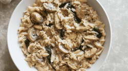 Orzo-Pilz-Pfanne auf wei&szlig;em Teller