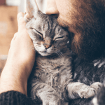 Mann mit Bart kuschelt mit Katze auf seinem Arm.