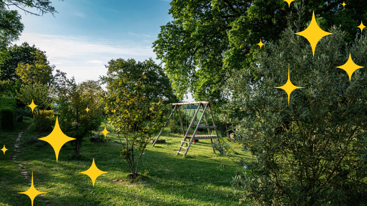 mehrstämmige Steineiche im Garten mit Schaukelgerüst