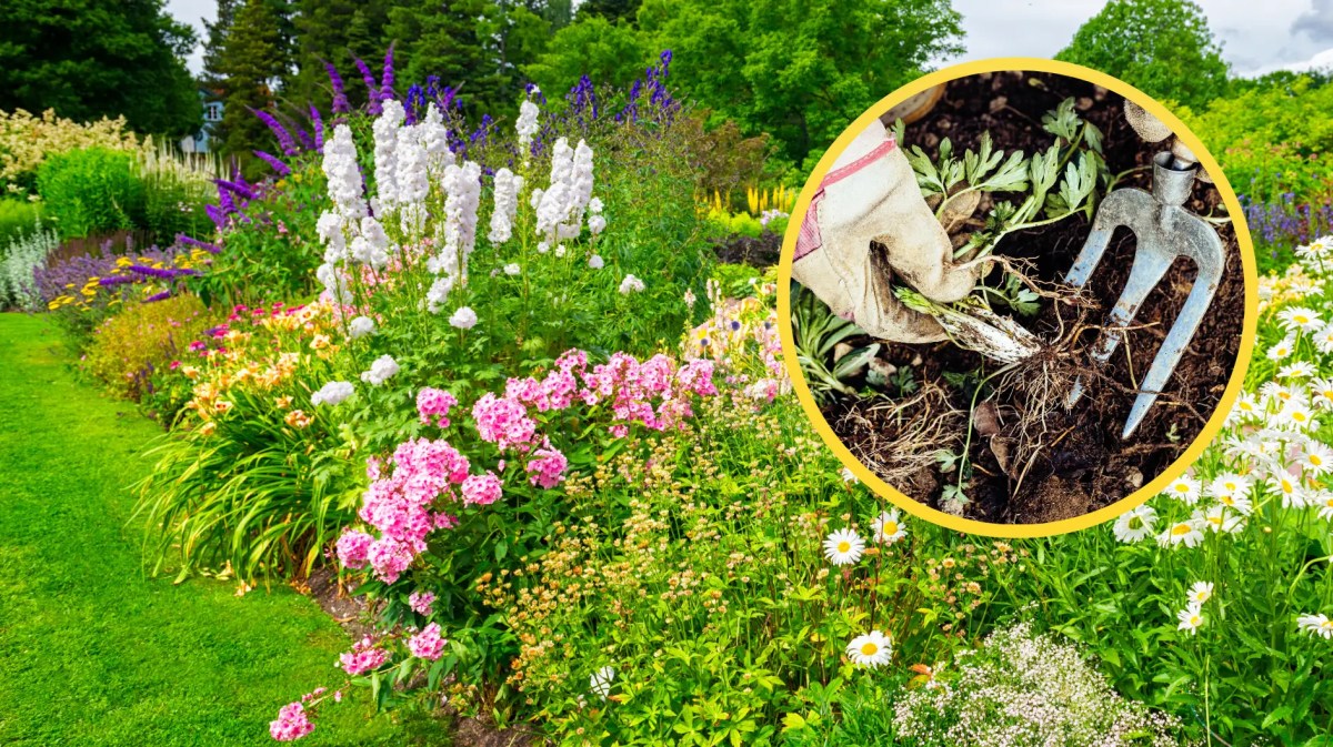 Staudenbeet, darauf Kreis mit Foto, das Unkraut jäten zeigt