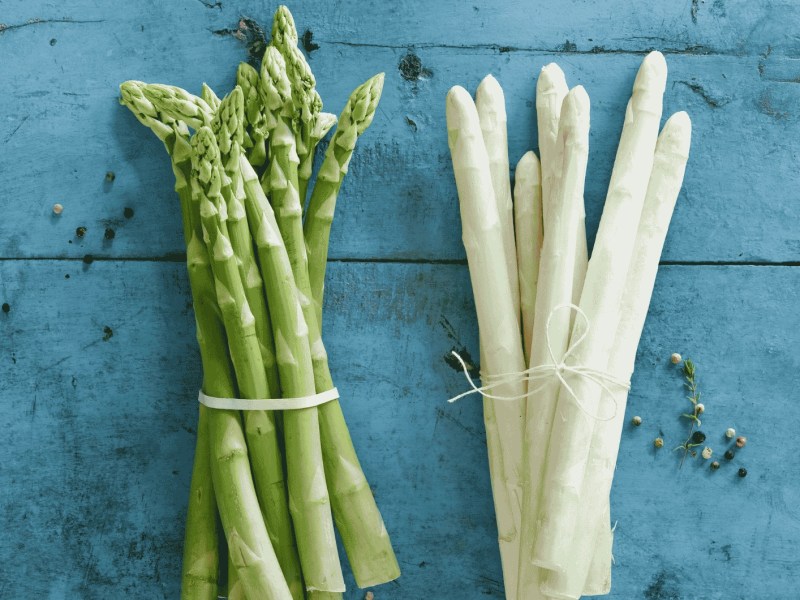 Zwei Bund Spargel grün und weiß